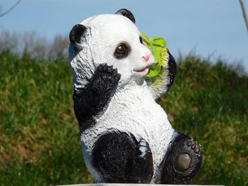 kado , panda beeld beschikbaar voor biedingen