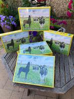 Wiebe van der Zee puzzel, Ophalen of Verzenden, Nieuw