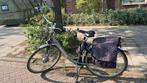 Electric bike, Ophalen of Verzenden, Gebruikt, Kettingslot