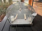 Retro vogelkooi met plexiglas voor en achterkant., Ophalen of Verzenden, Zo goed als nieuw, Metaal, Vogelkooi