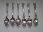 6 borrel- likeur lepeltjes  met waaiermotief Sola  [4], Ophalen of Verzenden, Gebruikt, Rvs of Chroom, Los bestek