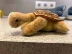Zeldzame Steiff Schildpad van Mohairwol, Ophalen of Verzenden, Gebruikt, Overige typen
