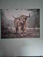 Schilderij van Schotse Hooglander, Huis en Inrichting, Oorspronkelijke maker, Ophalen of Verzenden, Zo goed als nieuw, Schilderij