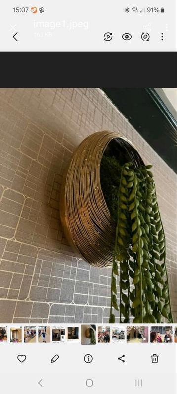 Te koop decoratieve goudkleurige eieren voor aan de muur  beschikbaar voor biedingen