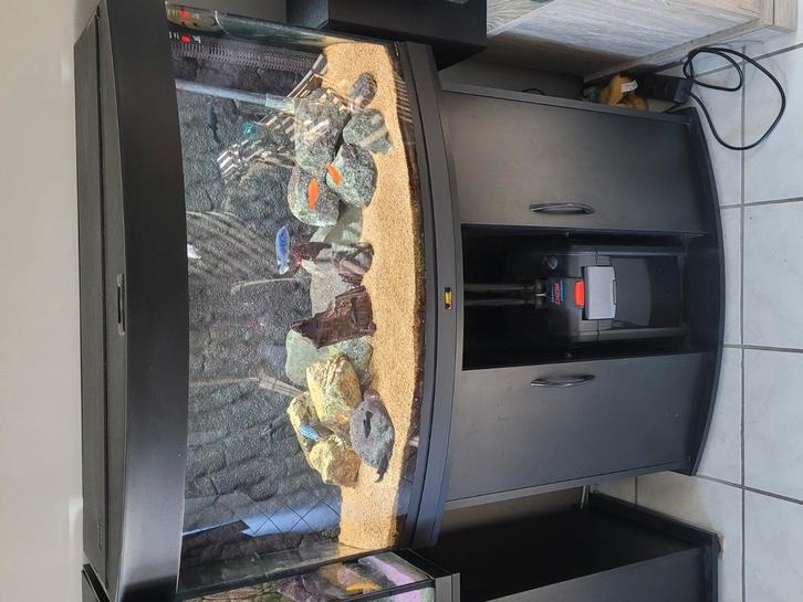Aquarium juwel vision180, Dieren en Toebehoren, Vissen | Aquaria en Toebehoren, Zo goed als nieuw, Leeg aquarium, Ophalen
