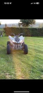 Quad 250cc 4 takt, Fietsen en Brommers, Minibikes, Midibikes en Pitbikes, Ophalen of Verzenden