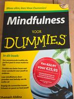 Shamash Alidina - Mindfulness voor Dummies, Ophalen of Verzenden, Zo goed als nieuw, Shamash Alidina