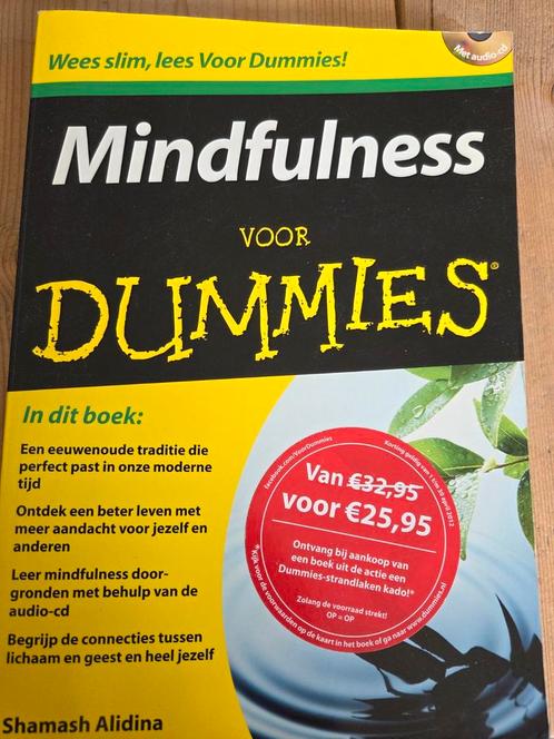 Shamash Alidina - Mindfulness voor Dummies, Boeken, Psychologie, Zo goed als nieuw, Ophalen of Verzenden