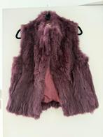 Nieuwe bodywarmer van echt bond maat XS, Kleding | Dames, Bodywarmers, Ophalen of Verzenden, Nieuw, Maat 34 (XS) of kleiner