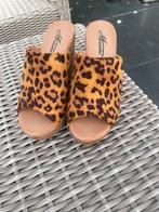 Instappers met hak en leuke print mt 37, Kleding | Dames, Schoenen, Ophalen, Zo goed als nieuw, Zwart, Werkschoenen