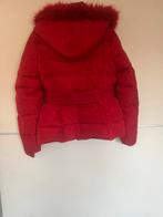 Guess Winterjas Maat S - Stijlvol en Warm!, Ophalen of Verzenden, Gedragen, Maat 36 (S), Rood