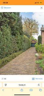 Oude gebakken waaltjes, Ophalen, Gebruikt, Klinkers