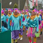 Carnavalskostuum Papegaai - Groepsoutfit - 25 stuks, Kleding | Dames, Carnaval, Zo goed als nieuw, Kleding, Ophalen