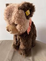 Steiff beer Tapsy, 6425/25, Ophalen of Verzenden, Zo goed als nieuw