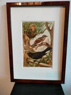 Chromolitho Litho A. Haase Praag Vogels Vogel Birds 1888, Ophalen of Verzenden