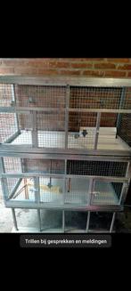 Kweekkooi, Dieren en Toebehoren, Vogels | Hokken en Kooien, Ophalen of Verzenden, Hout, Broedkooi of Kweekkooi