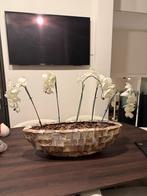 Schelpenvaas met kunstbloemen, Ophalen, Overige materialen, 40 cm of meer, Binnen