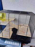 Grote hamsterkooi, 60 tot 90 cm, Hamster, Gebruikt, Ophalen of Verzenden