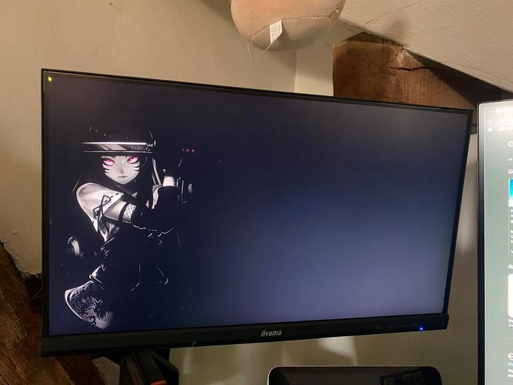 iiyama PL2293H, Computers en Software, Monitoren, Zo goed als nieuw, 61 t/m 100 Hz, IPS, Full HD, Ophalen of Verzenden