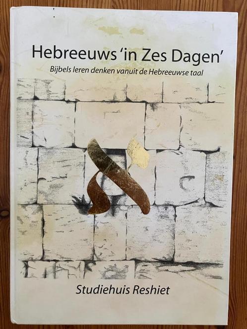 Hebreeuws 'In Zes Dagen - Studiehuis Reshiet, Boeken, Studieboeken en Cursussen, Zo goed als nieuw, Niet van toepassing, Beta