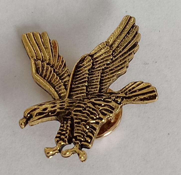 Adelaar broche, Sieraden, Tassen en Uiterlijk, Broches, Nieuw, Overige materialen, Overige kleuren, Minder dan 4 cm, Ophalen of Verzenden