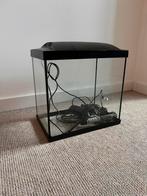 SuperFish aquarium, Dieren en Toebehoren, Vissen | Aquaria en Toebehoren, Ophalen of Verzenden, Zo goed als nieuw, Leeg aquarium