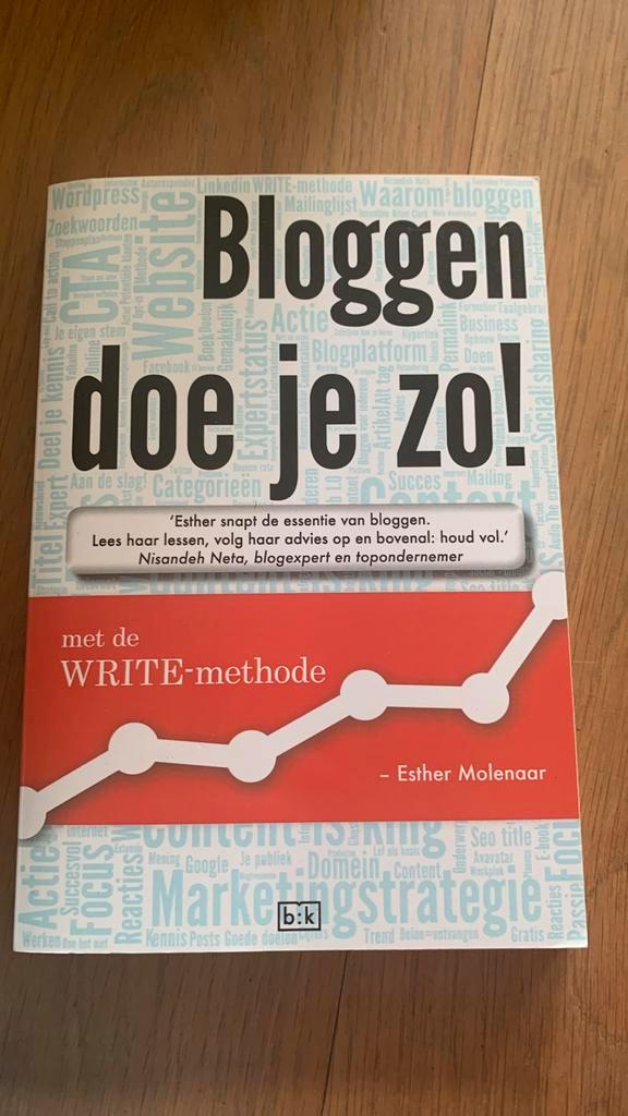 Esther Molenaar - Bloggen doe je zo, Boeken, Wetenschap, Zo goed als nieuw, Ophalen of Verzenden