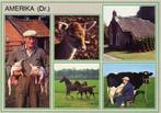 AMERIKA (Dr.) Boer Hert Paarden Boerderij Melken, Verzenden, 1980 tot heden, Gelopen, Drenthe