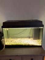 Juwel aqarium 60 liter, Dieren en Toebehoren, Ophalen of Verzenden, Gebruikt, Leeg aquarium