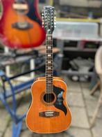 Eko 12-snarige akoestische gitaar, Ophalen, Gebruikt, Western- of Steelstringgitaar, 12-snarig