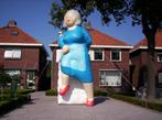 huren verhuur sarah abraham opblaasbare Wierden rijssen goor, Ophalen