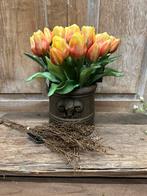 Gageltakken bruin en groen, Binnen, ., Nieuw, Ophalen of Verzenden