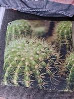 4 kussen hoezen met vetplant cactus, Verzenden, Nieuw