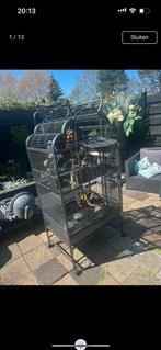 Prachtige kooi papegaai vogel  als nieuw vogelkooi kwaliteit, Dieren en Toebehoren, Ophalen of Verzenden, Zo goed als nieuw, Metaal