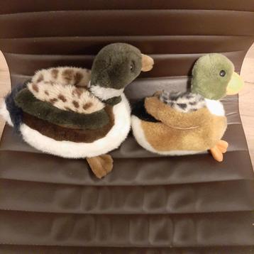 🦆2e hands: 2 Pluche eendenknuffels - Lekker zacht🏷️€19,95- beschikbaar voor biedingen