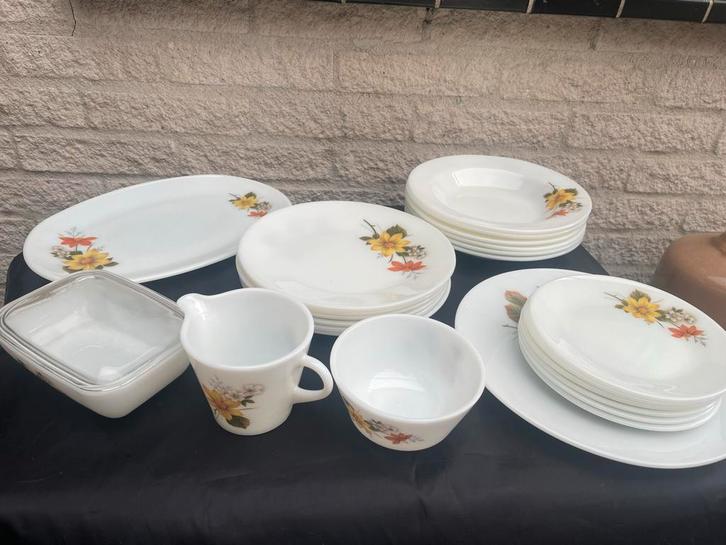 Arcopal Servies 'Rose', Antiek en Kunst, Antiek | Servies compleet, Ophalen of Verzenden
