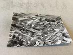 Dongen.    Panorama Zusters Franciskanessen van Dongen, Verzamelen, Ansichtkaarten | Nederland, Ophalen of Verzenden, Voor 1920