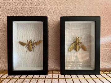 Set van 2 diepe HK living lijsten gouden insecten bij vlieg beschikbaar voor biedingen
