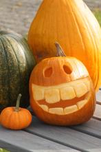 Halloween pompoenen, sierfruit, herfstdecoratie's,, Tuin en Terras, Ophalen, Nieuw