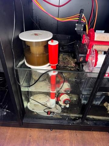 Royal Exclusiv Bubble King Double Cone 150 with Red Dragon X beschikbaar voor biedingen