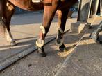 Peesbeschermers Horsegear bruin maat Cob, Dieren en Toebehoren, Paarden en Pony's | Beschermers, Ophalen of Verzenden, Zo goed als nieuw