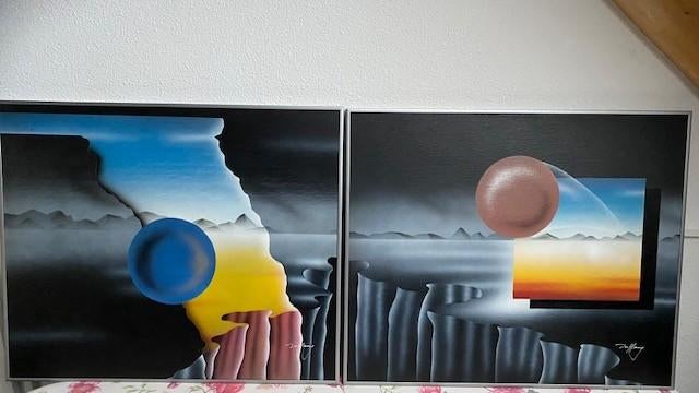 2 Schilderijen Airbrushes, Ophalen, Zo goed als nieuw, Schilderij, Minder dan 50 cm