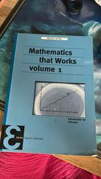 Mathematics that Works volume 1, Boeken, Studieboeken en Cursussen, Ophalen of Verzenden, WO, Zo goed als nieuw, Maarten de Gee