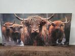 Nieuw 3-luik Schilderij - Highland Cows, 50 tot 75 cm, Nieuw, Ophalen of Verzenden, Schilderij