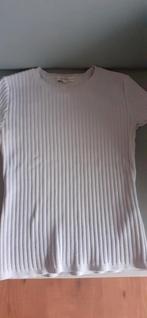 Babyblauw stretch truitje, Kleding | Dames, Ophalen of Verzenden, Zo goed als nieuw, Zwart, Lange mouw