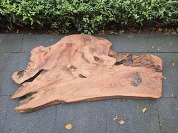 Uniek massief stuk hout beschikbaar voor biedingen