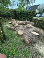 GRATIS Openhaardhout in Almere !, Minder dan 3 m³, Ophalen of Verzenden, Blokken, Overige houtsoorten