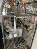 Vogel kooi, Dieren en Toebehoren, Vogels | Hokken en Kooien, Ophalen, Zo goed als nieuw, Metaal, Vogelkooi