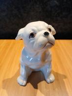 Porselein Boxer, Ophalen of Verzenden, Zo goed als nieuw, Dier