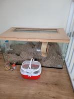 2 gerbils en terrarium, Minder dan 60 cm, Gebruikt, Ophalen of Verzenden, Hok